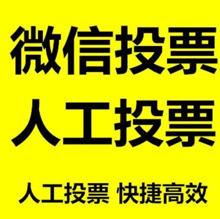 盐城市投票活动拉票能被查出来吗？如何操作能不被发现？